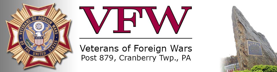 VFW Post 879 Logo